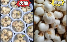 “误送毒水仙球事件：盒马鲜生致老人孩子中毒引关注”