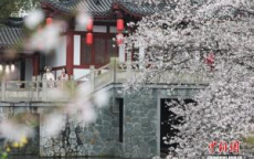 各地文旅colorwalk走起来了