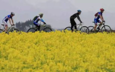 春潮涌动，中国新征程：迈向新时代的蓬勃步伐