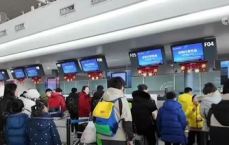 揭秘谷爱凌外婆户籍卡：南京档案馆里的家族记忆