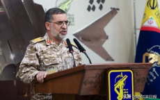 伊朗伊斯兰革命卫队发言人身亡：震惊国际的悲剧