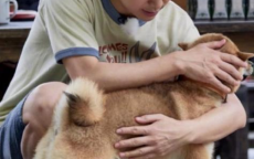 何老师洞察黄毛反应，揭示人性微妙瞬间