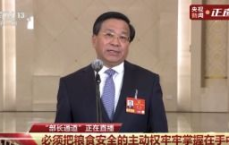 “我国蔬菜年产量突破8亿吨，绿色农业发展成果显著”