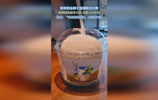 瑞幸椰子蛋新品引网友热议：口感不佳还是创意不足？