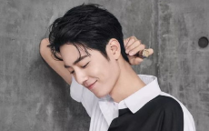 青岛已经进入肖战频道