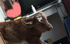 探索三重境界：我的独特生活状态之旅