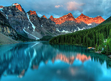 丁禹兮:爱情与财富的完美融合——钱在哪,爱就在哪